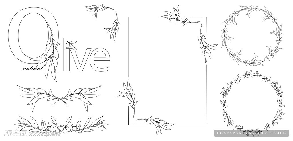 橄榄枝边框