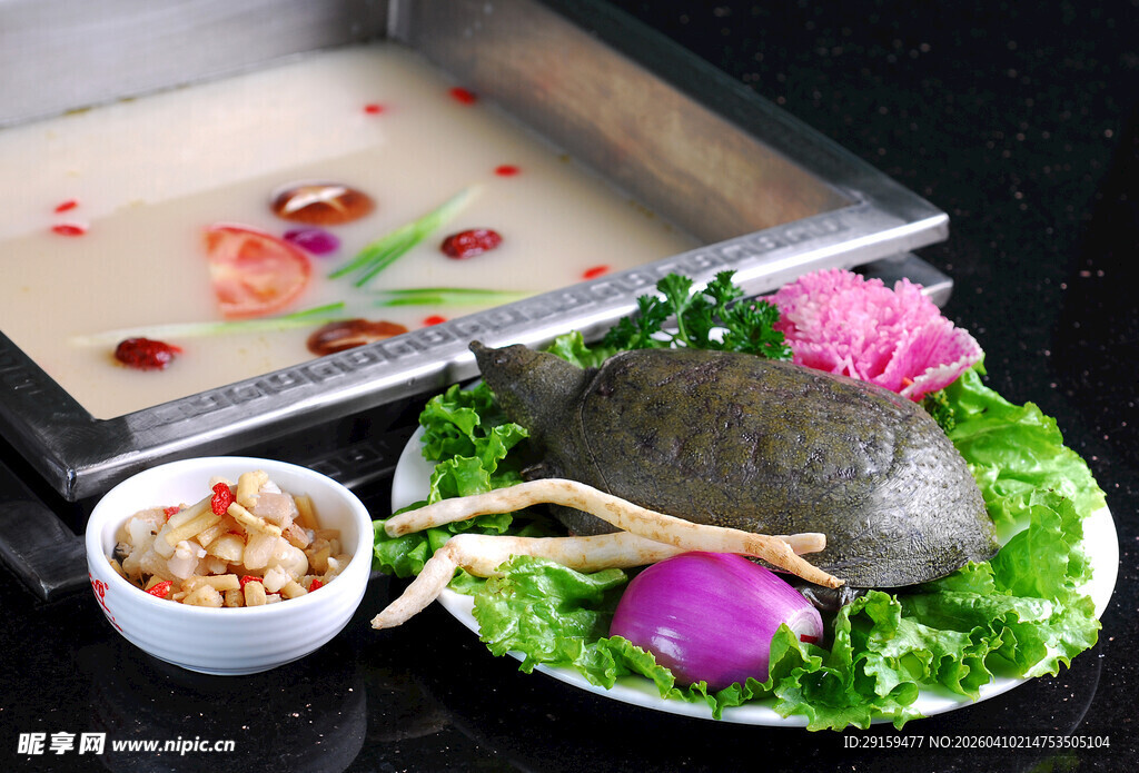 甲鱼美食摆盘展示