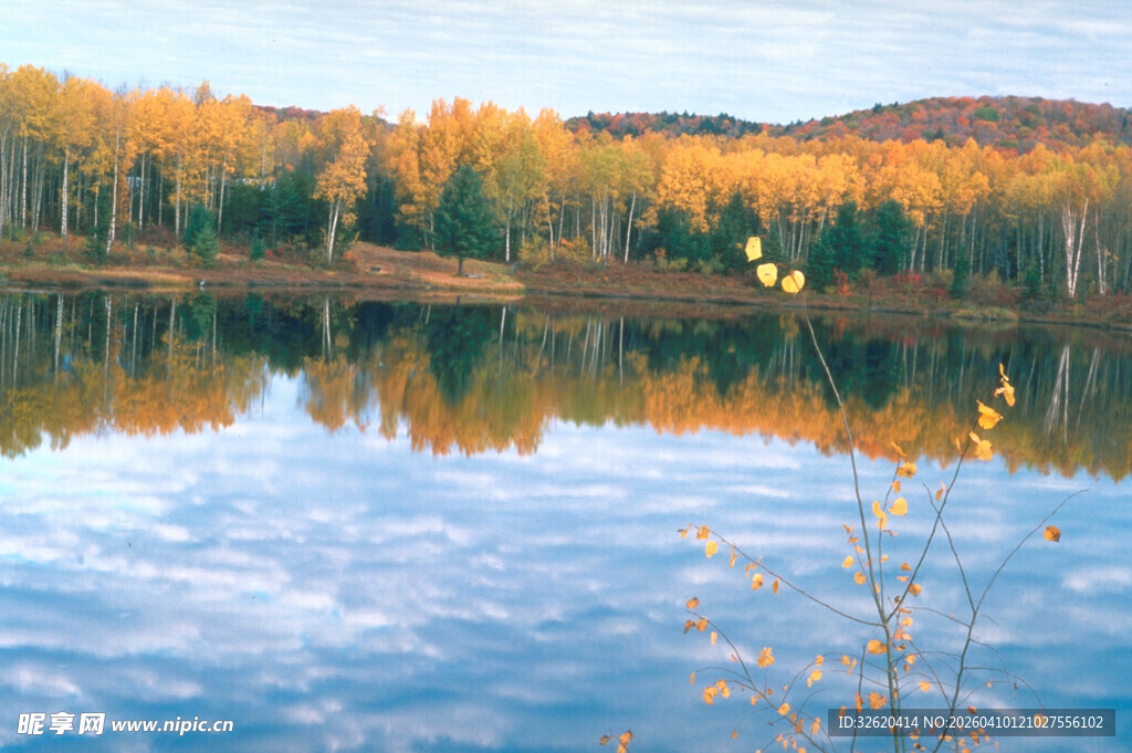秋日湖畔美景