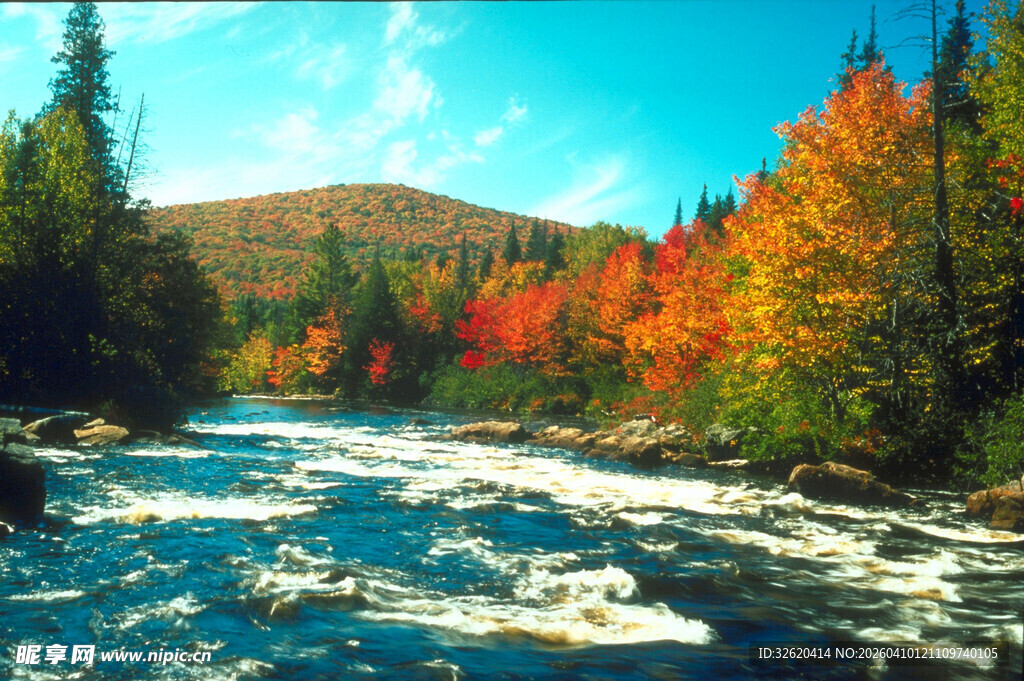 秋日湍急河流旁的多彩山林