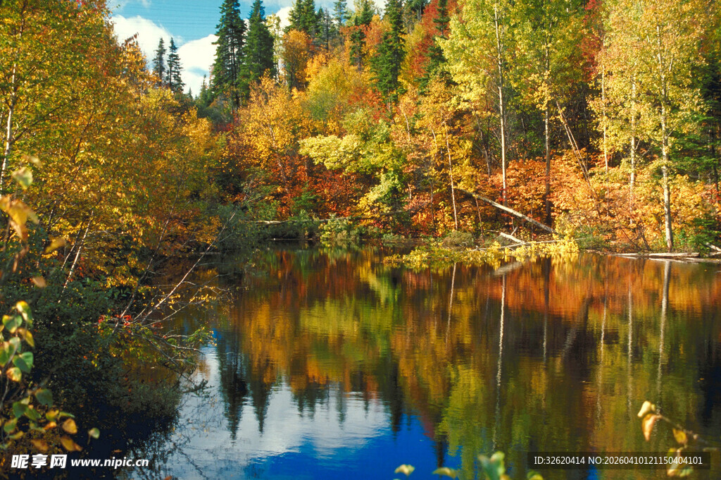 秋日湖畔斑斓树林倒影