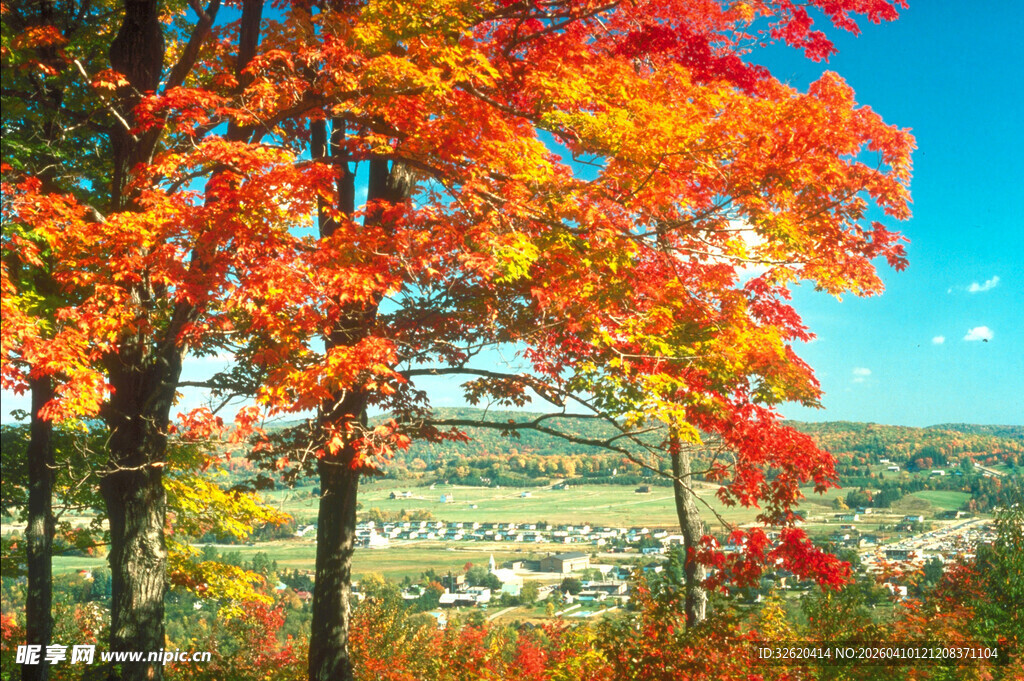 秋日山林绚丽风光