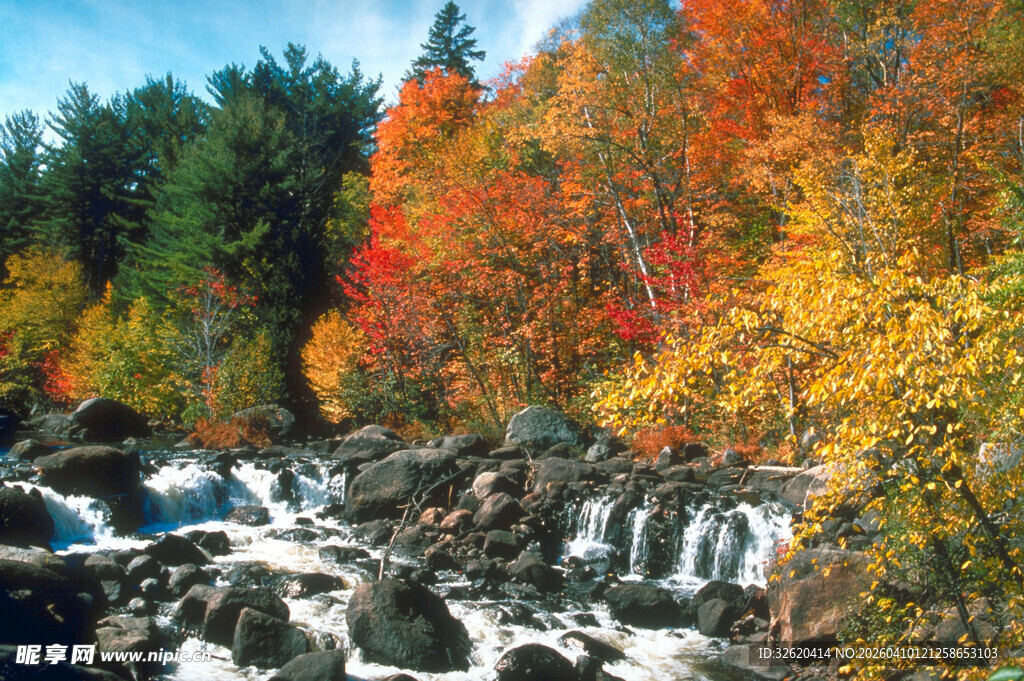 秋日溪流旁的绚烂山林