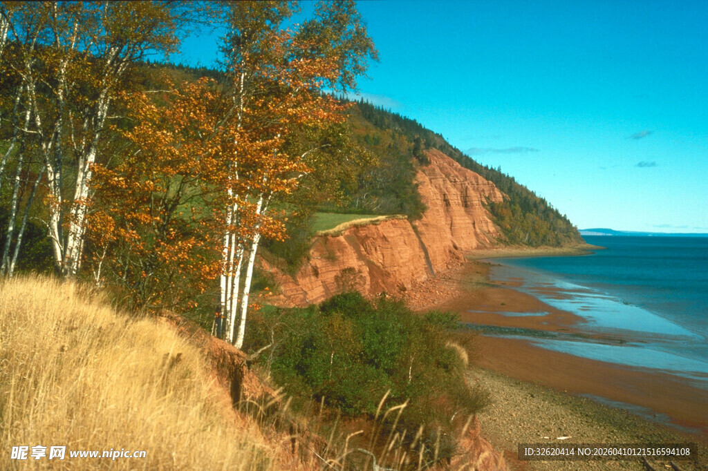 海岸秋色美景