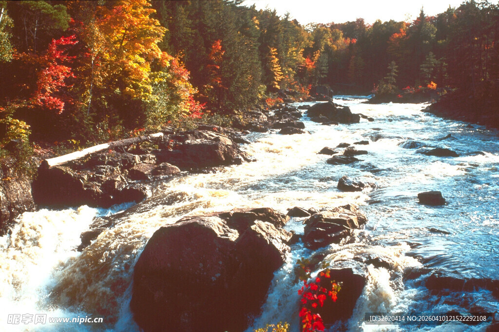 秋日湍急溪流中的多彩景致