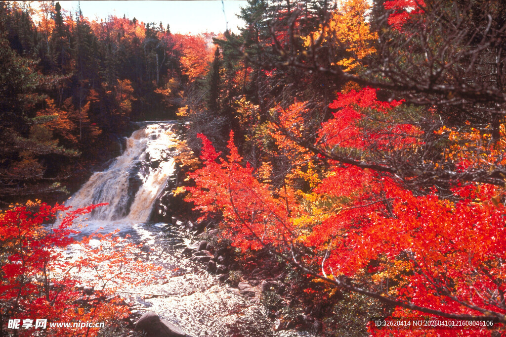 秋日红叶中的潺潺瀑布