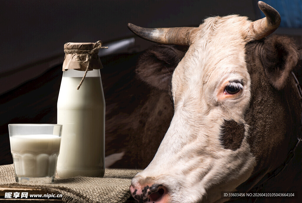 奶牛与奶制品的温馨画面