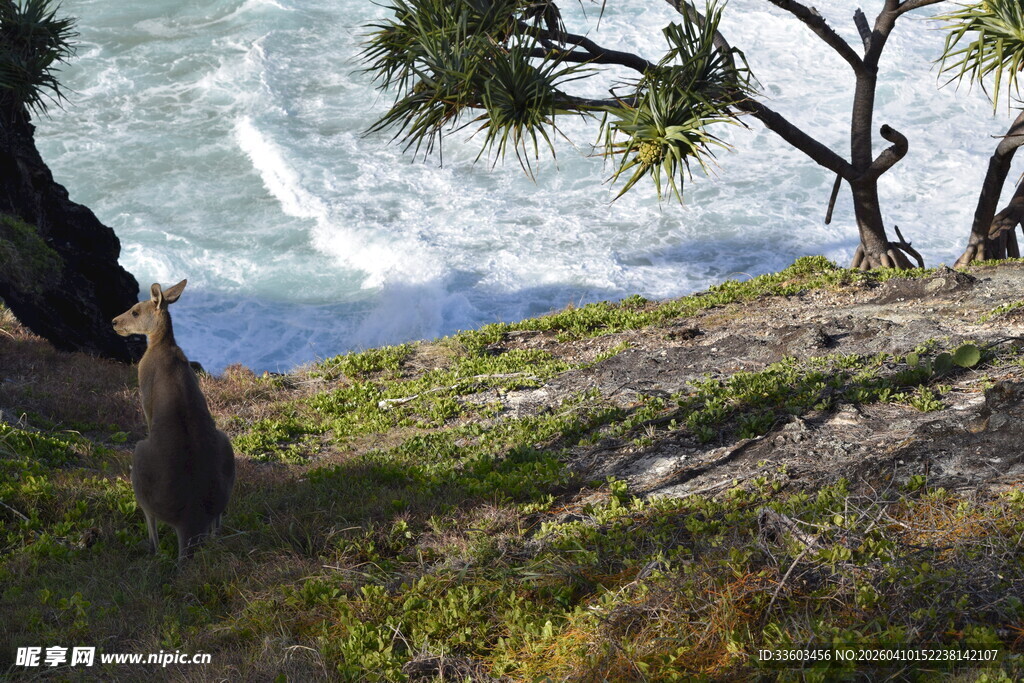 海岸边的自然风光