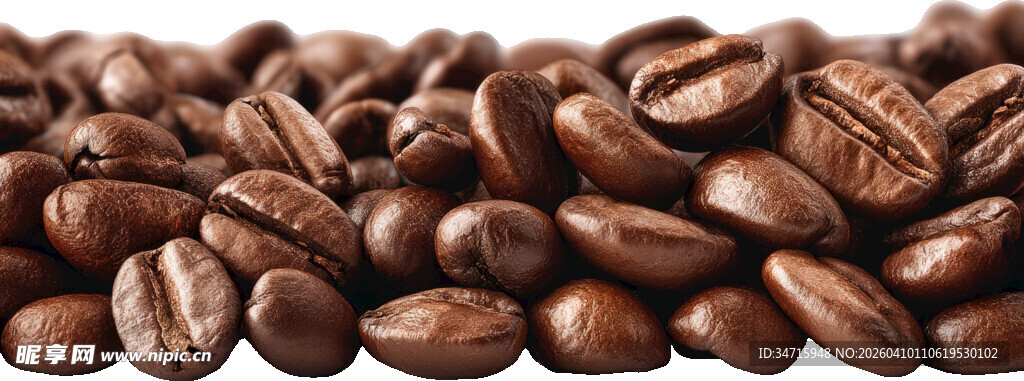 饱满咖啡豆特写