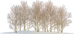 冬日雪林景观
