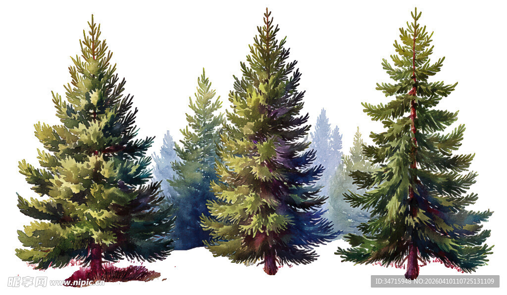 翠绿挺拔的成排松树