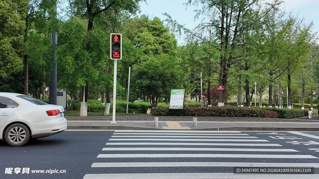 城市道路上的车辆与斑马线