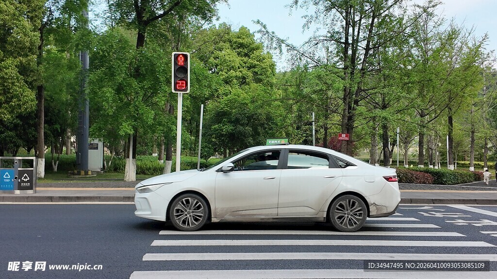 白色轿车行驶在林荫道路