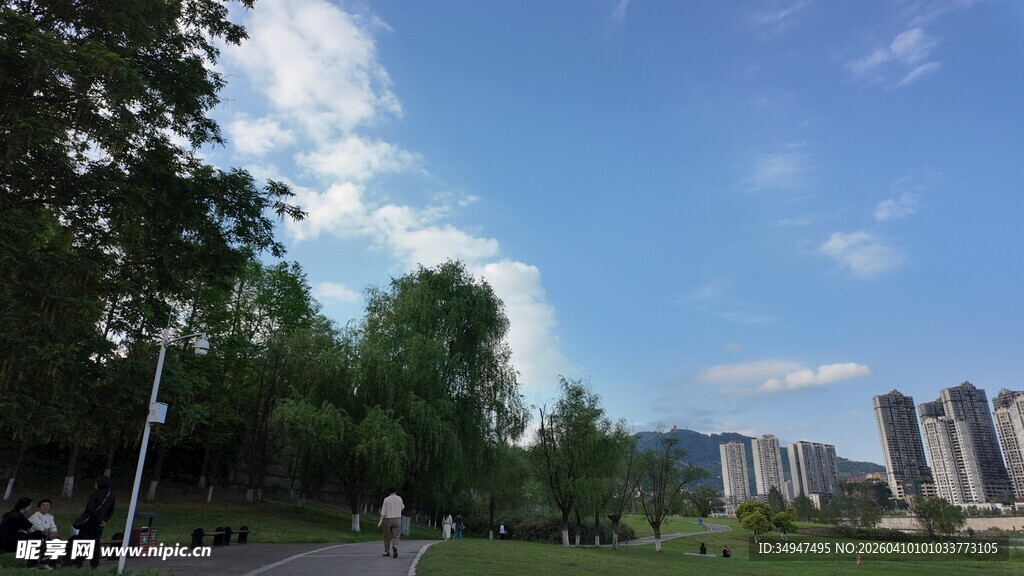 城市公园的蓝天绿树景致
