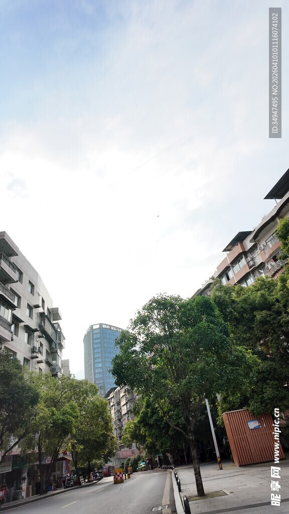 城市街道绿树相伴景象