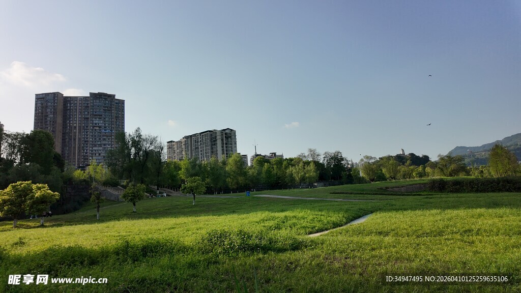 城市边的翠绿开阔草地