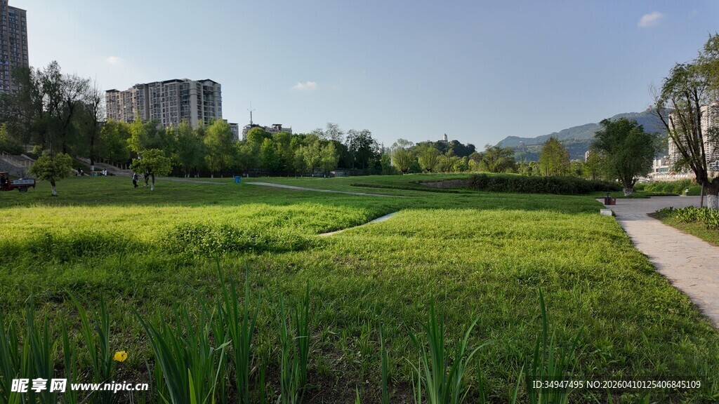 城市中的绿地景观