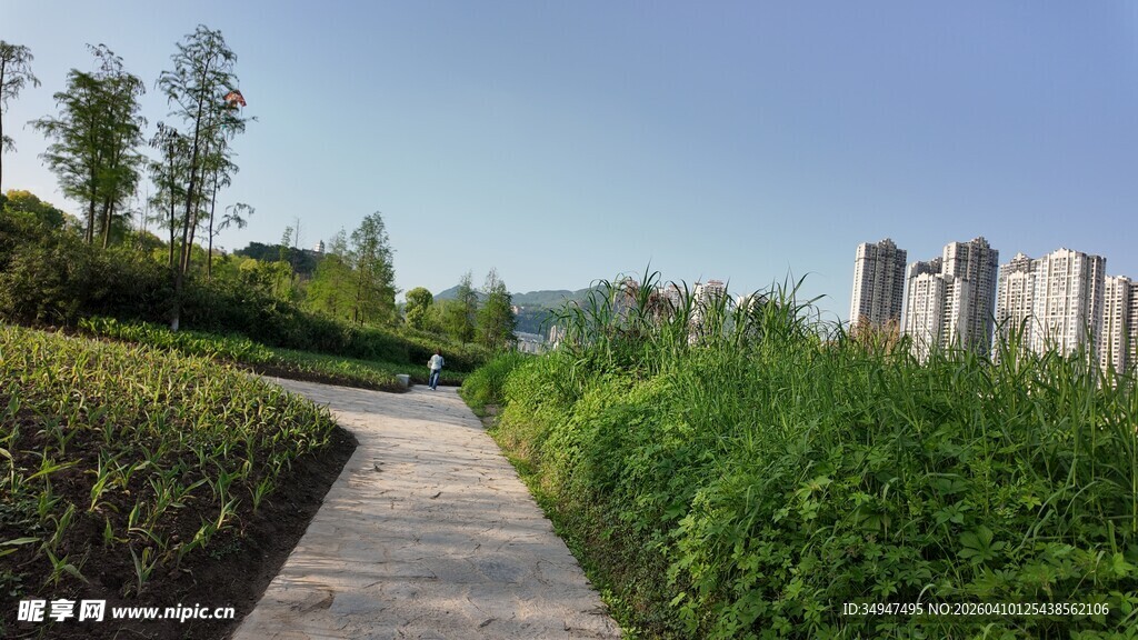 城市中的静谧绿植小径