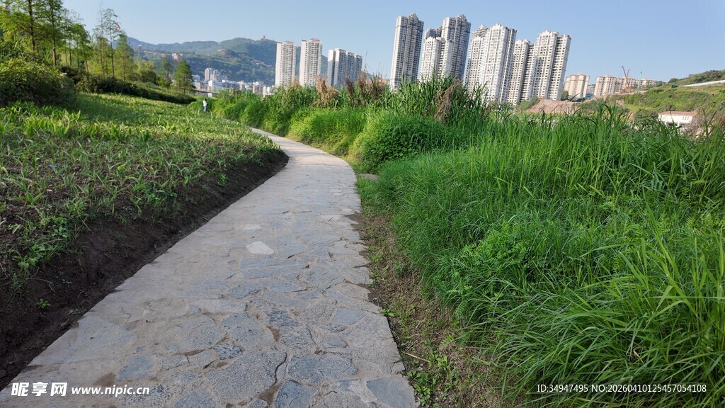 城市中蜿蜒的绿色小径