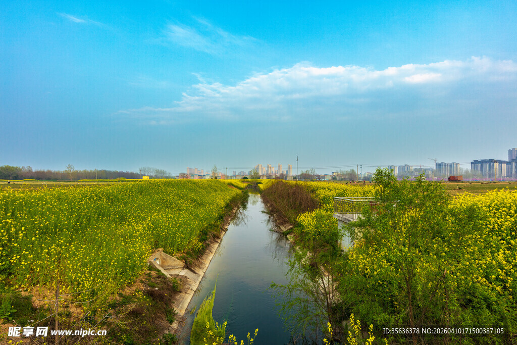 田园小河风光美景