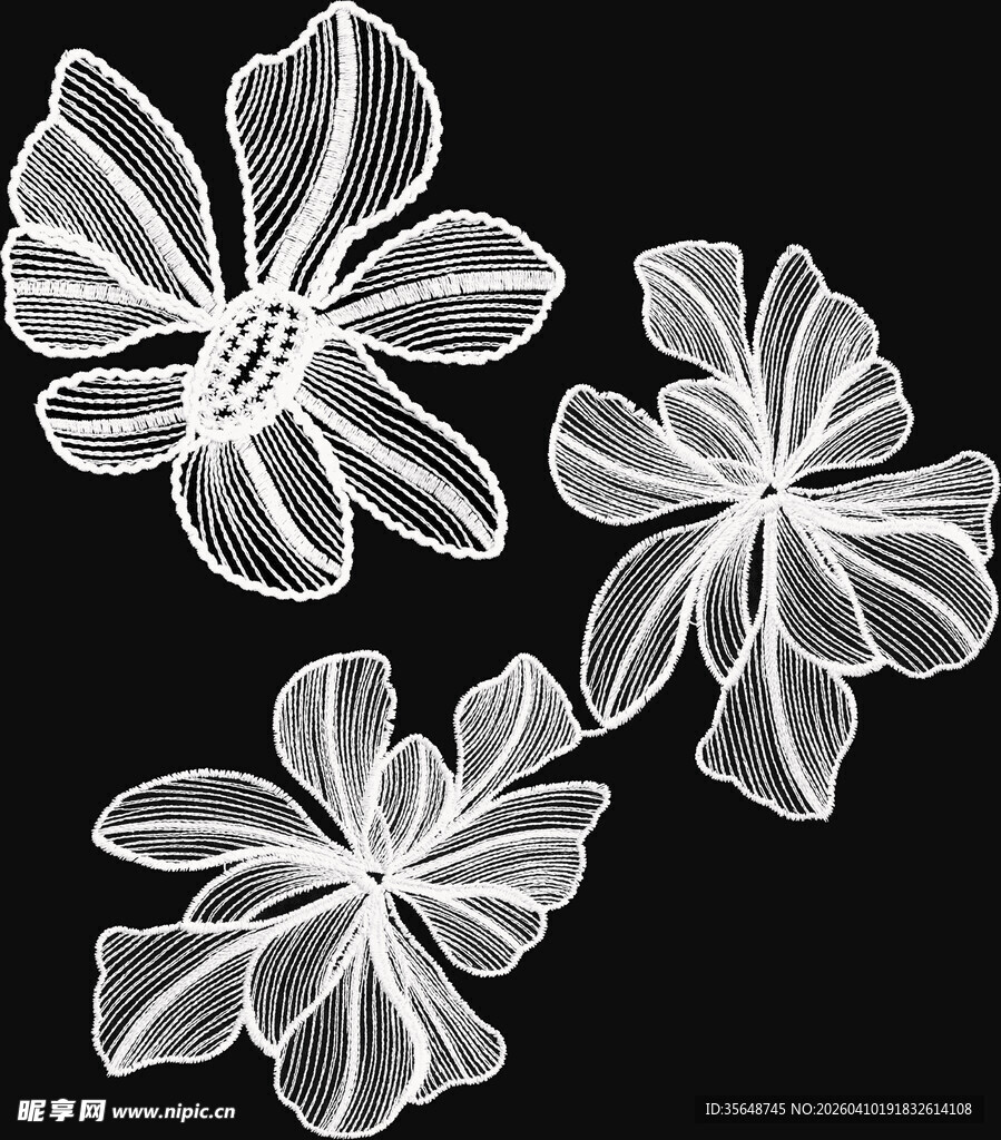 白色蕾丝花朵刺绣图案