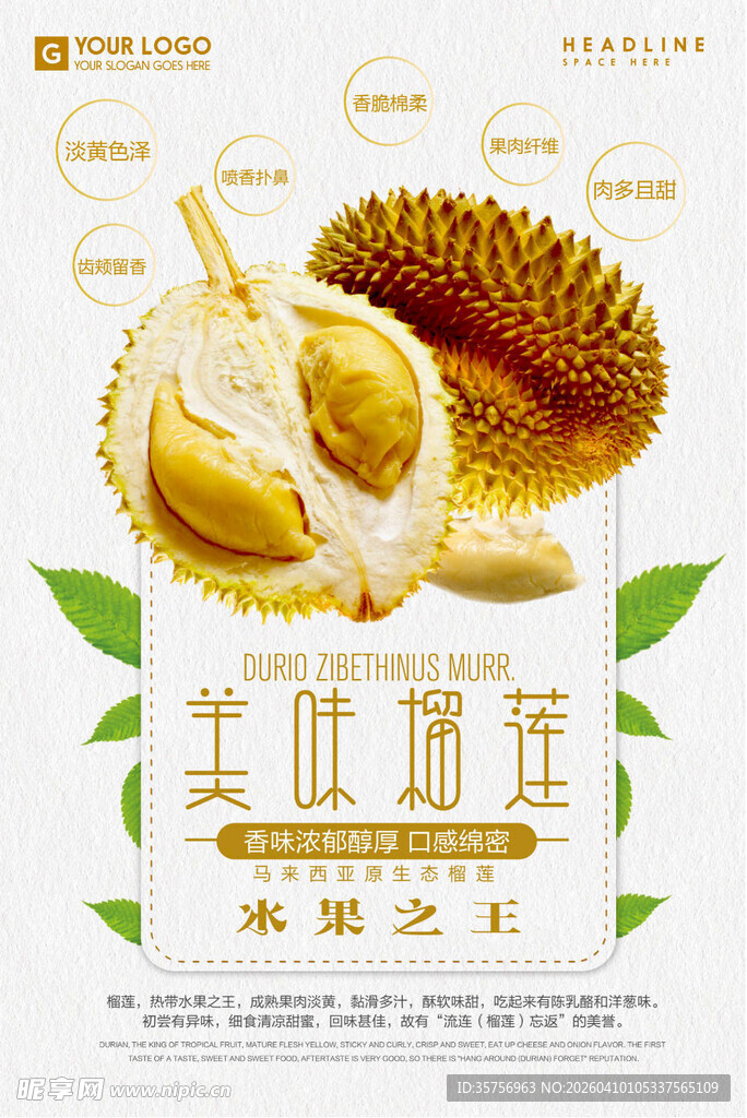 美味榴莲 果香四溢