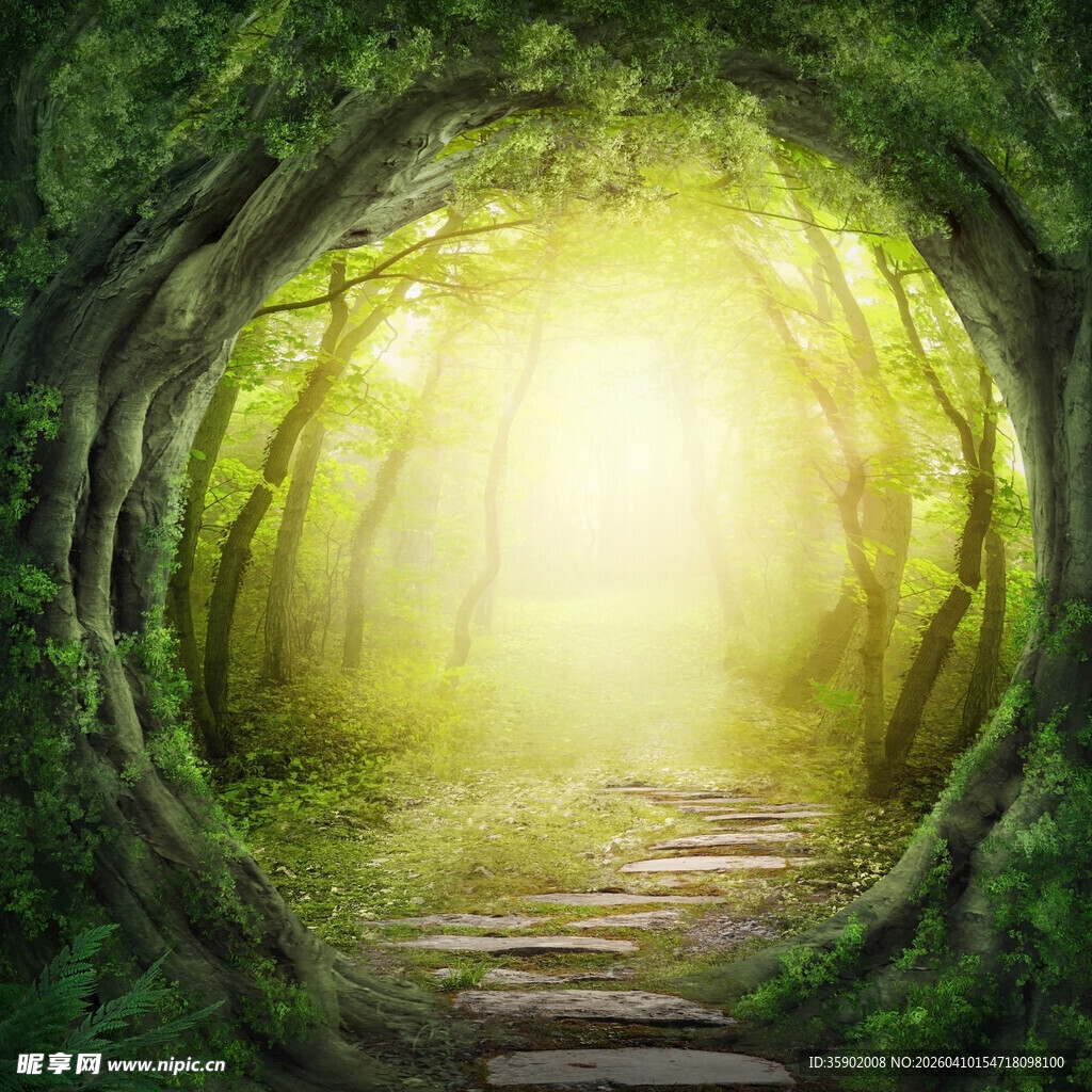 梦幻森林中的神秘光影通道