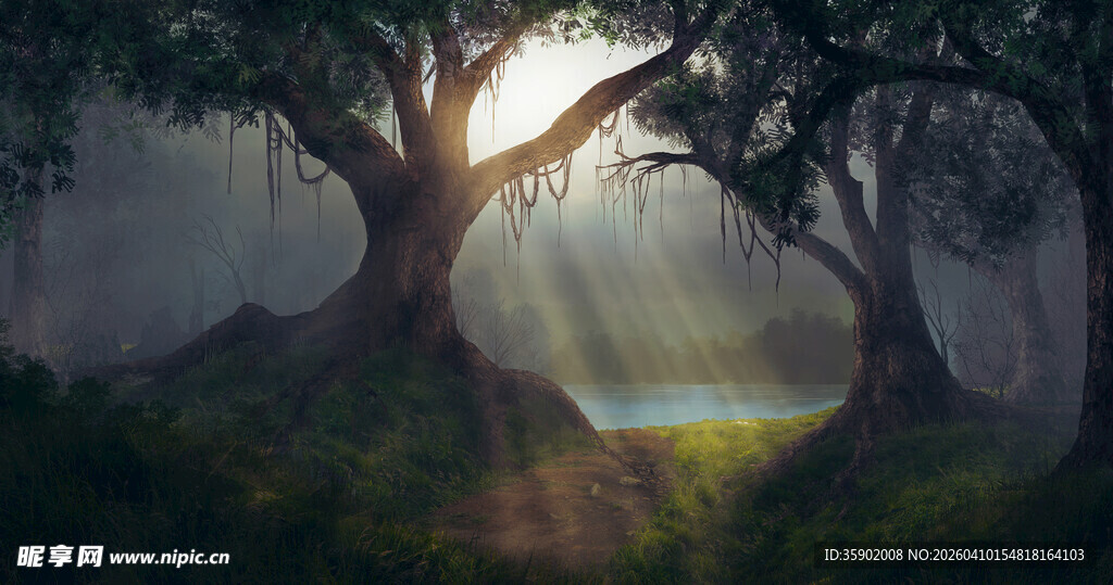 林间晨光静谧梦幻森林景