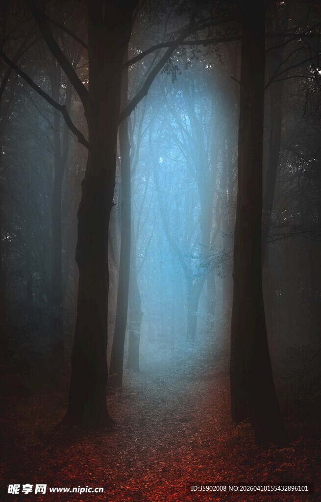 神秘幽森的奇幻迷雾森林