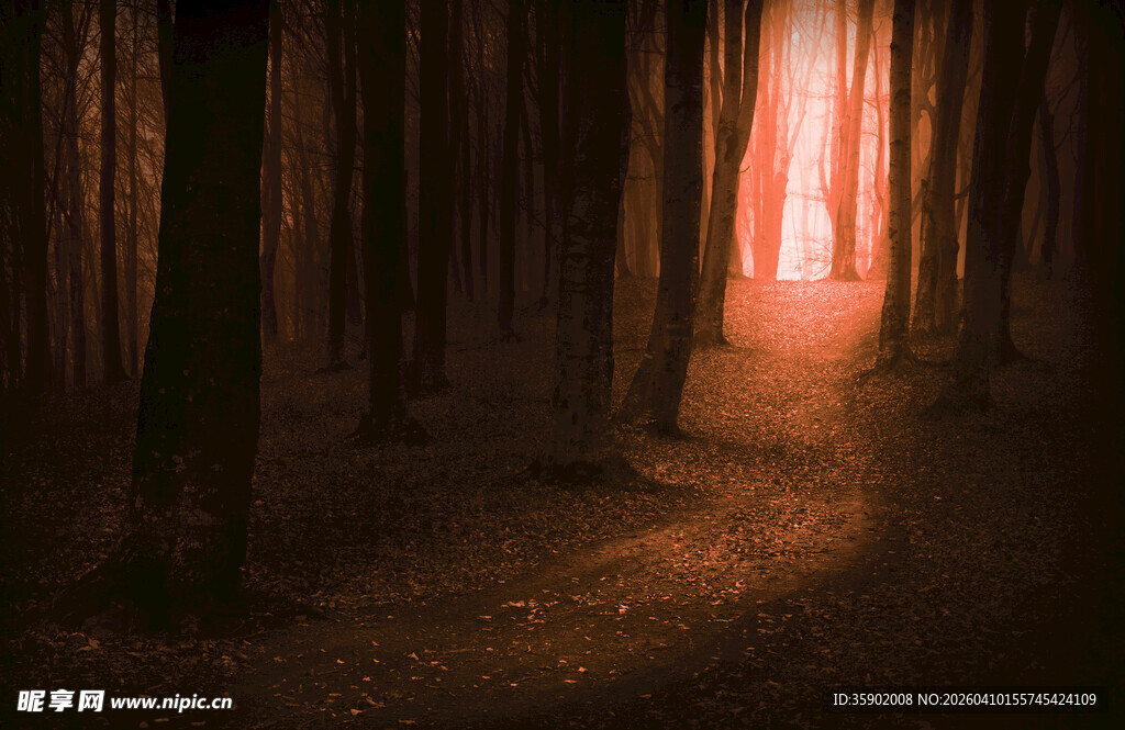 神秘幽林尽头一抹红光