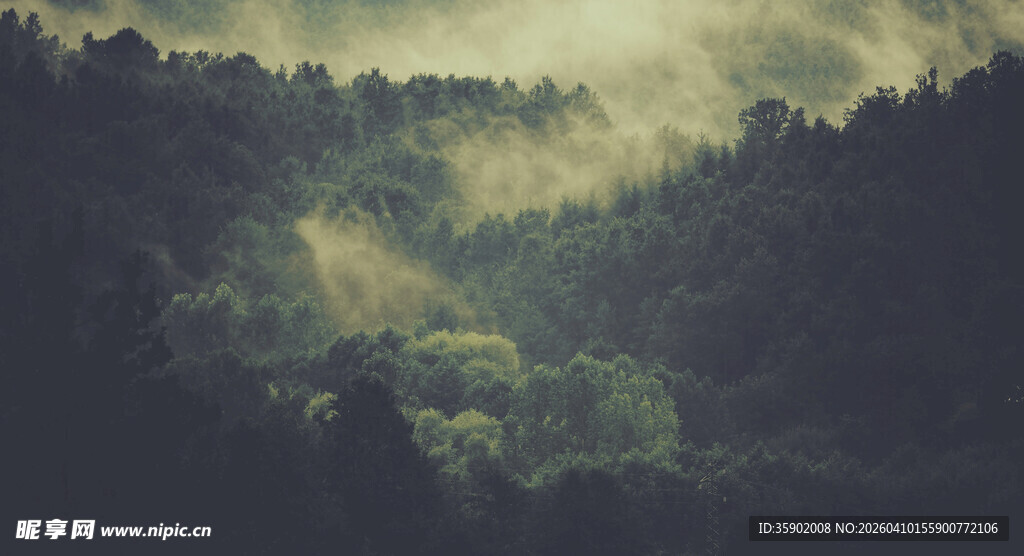 雾霭山林的静谧景致