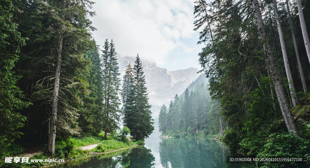 森林中的静谧清澈河流