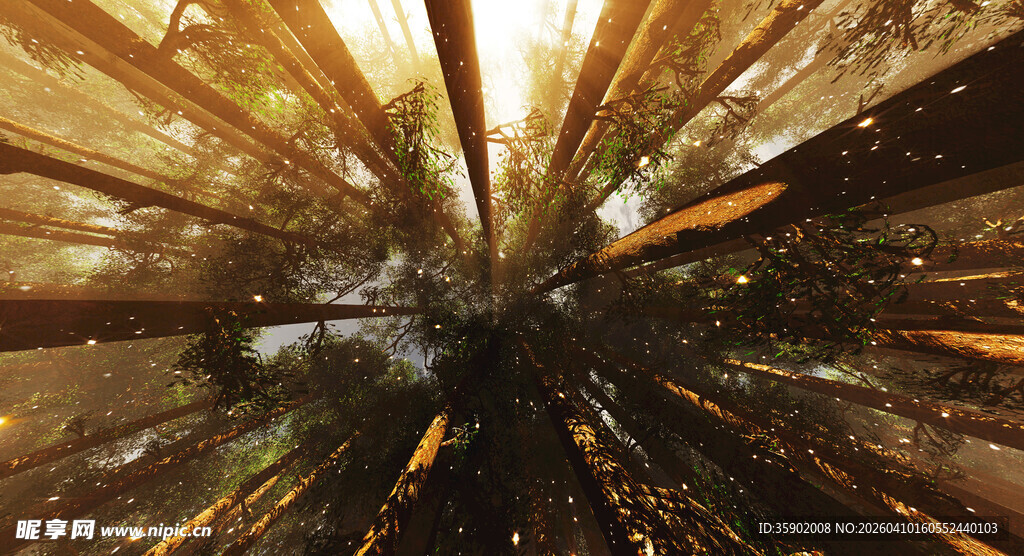 森林阳光穿透树冠景象