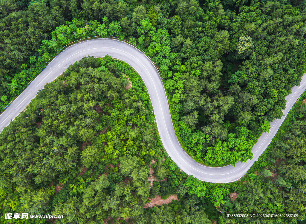 蜿蜒公路穿行翠绿山林