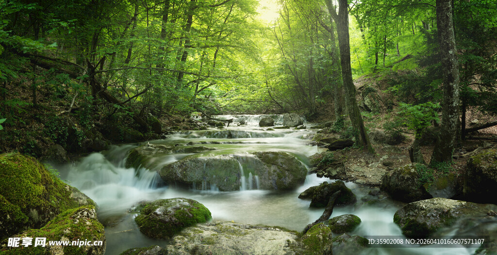 山林间潺潺溪流美景