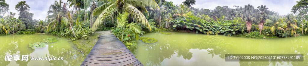 田园风光中的蜿蜒小路