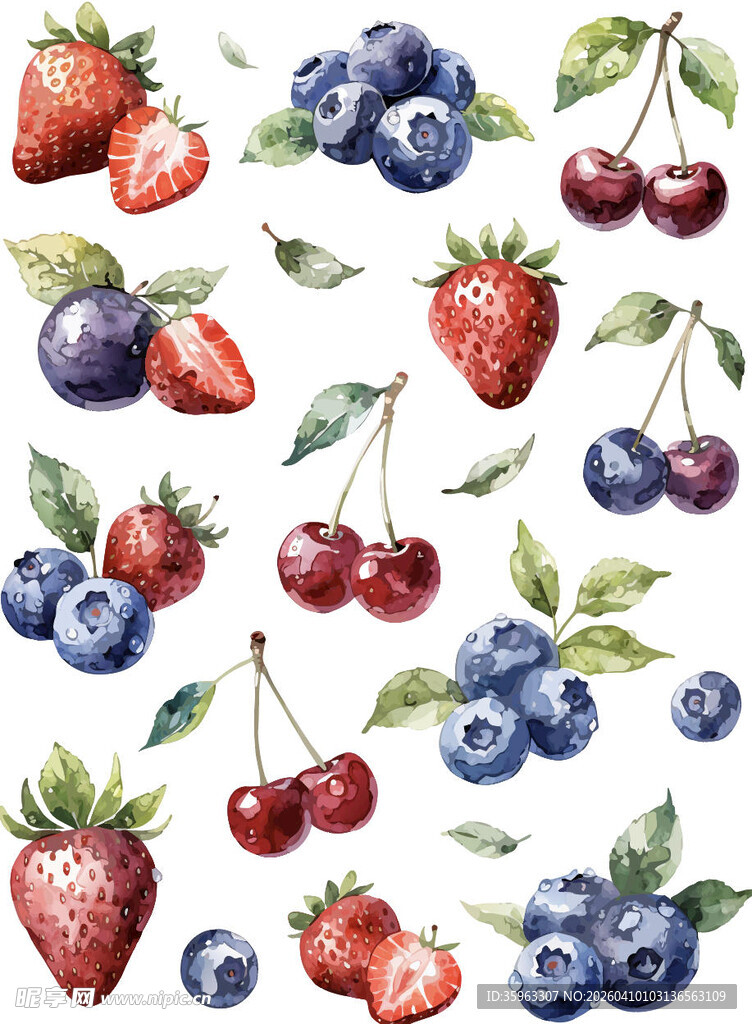 水彩绘多彩浆果组合