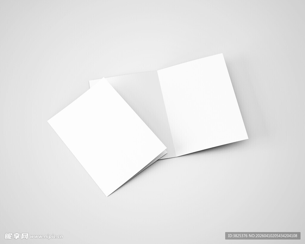 A5空白双折页设计展示样机