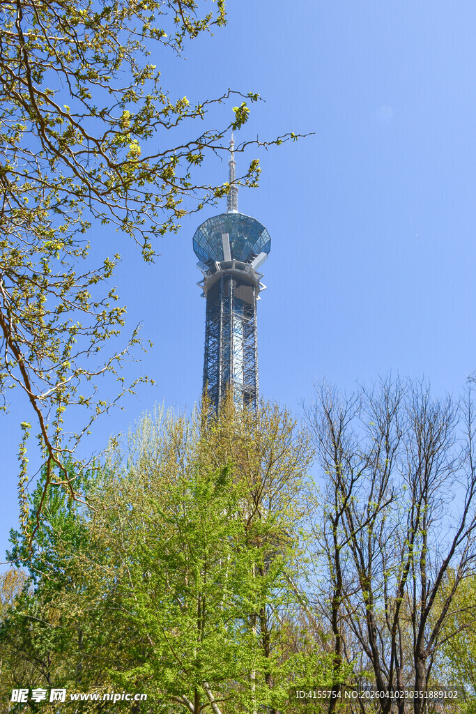 林中高耸的电视信号塔