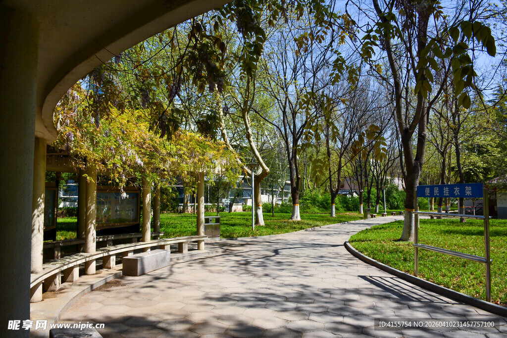 公园绿荫小道景观