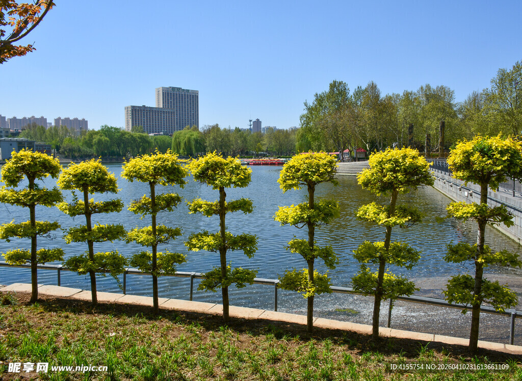 湖畔整齐绿植景观