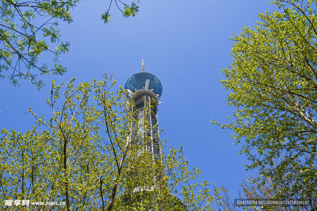 绿树环绕中的高耸电视塔