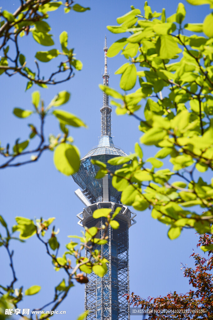 绿叶掩映下的高耸塔楼