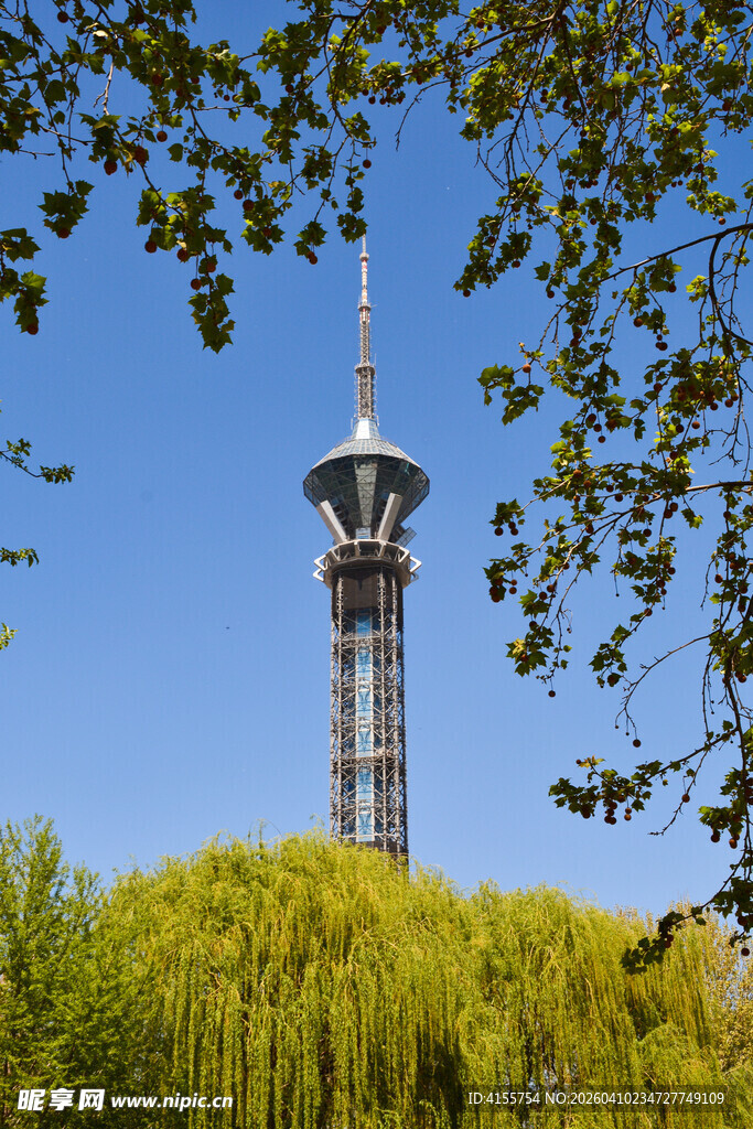 绿树掩映中的高耸电视塔