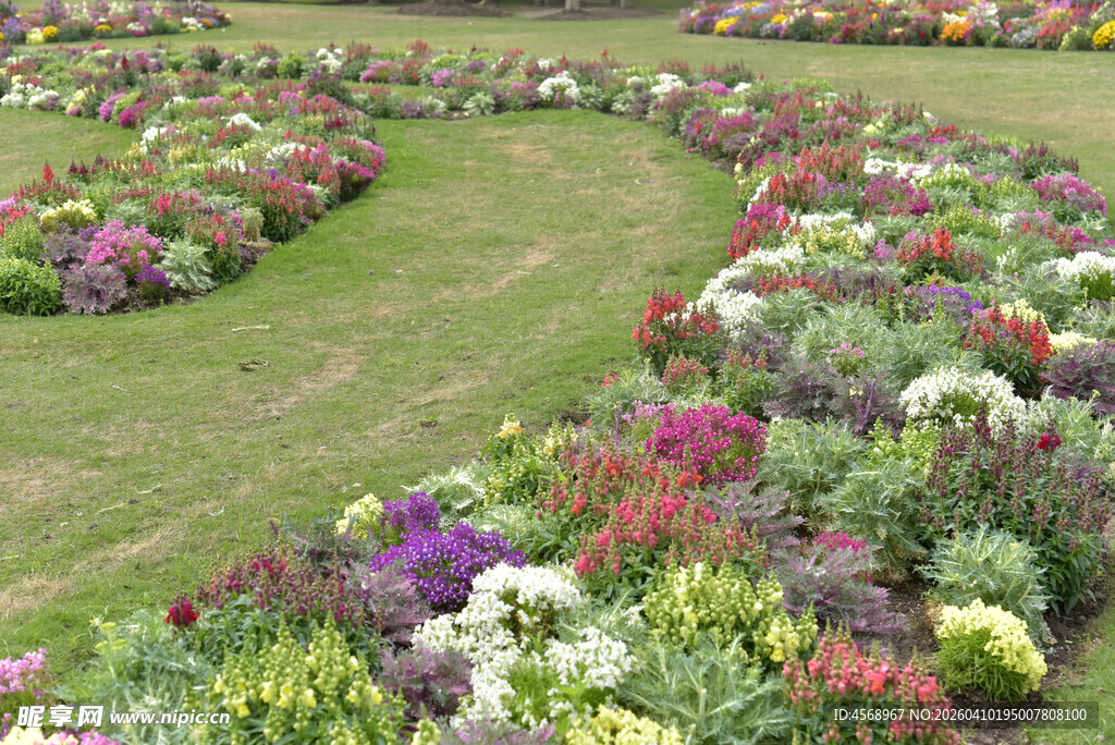 多彩花坛打造美丽景观