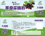 果桑采摘券