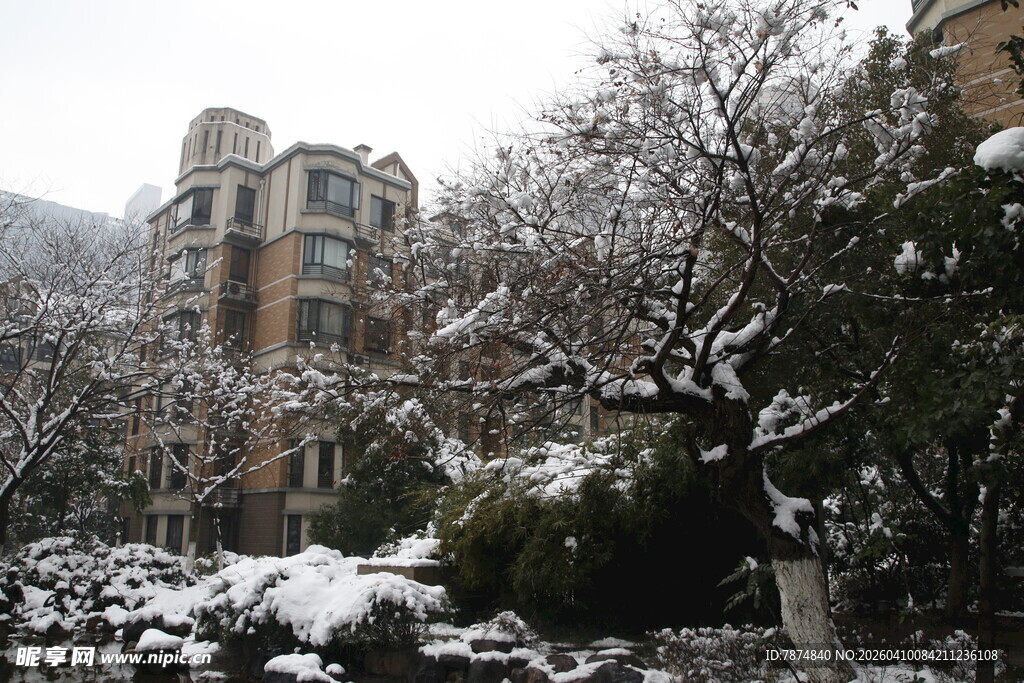 雪后小区景致
