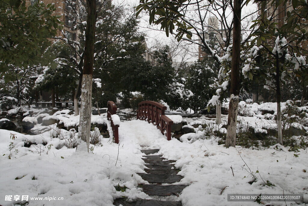 雪覆山林间的静谧小道