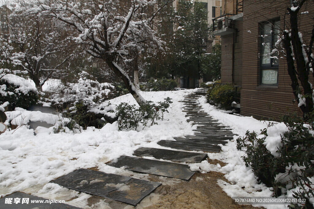 雪后庭院石板小径美景