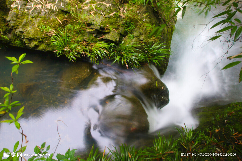山间溪流 绿意环绕的美景